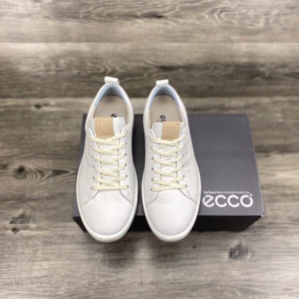 ECCO - Image 20